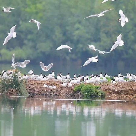 La Rive Du Loir 2km From Zoo De La Flèche