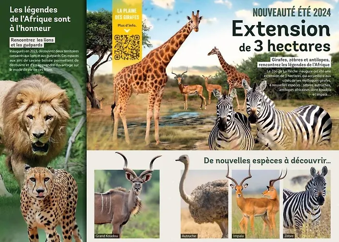 Villa La Rive Du Loir 2km From Zoo De *