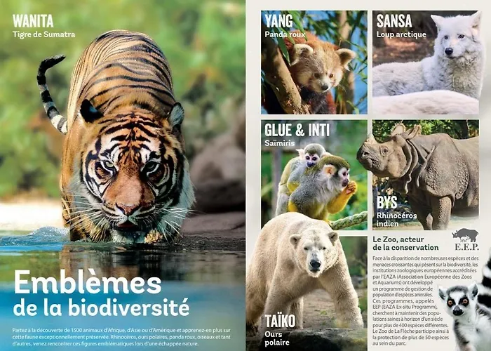 La Rive Du Loir 2km From Zoo De Villa *