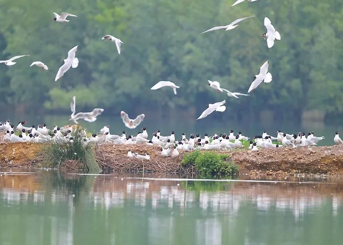 La Rive Du Loir 2km From Zoo De La Flèche