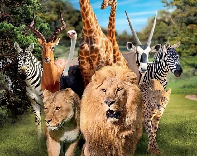 La Rive Du Loir 2km From Zoo De Villa La Flèche